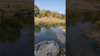 Calm Water Relaxing Kerwa dam  YouTube Shorts [upl. by Cori95]