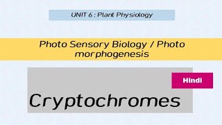 Cryptochromes in Hindi  Photo Sensory biology [upl. by Isdnil]