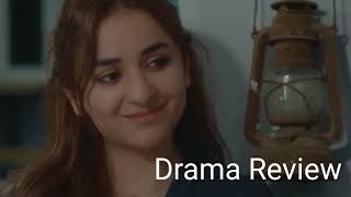 Zarnab ko Piar ho gia  Review Drama Serial Gentleman  4th May 2024  Drama Review [upl. by Eseenaj260]