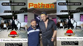 World Biggest Kotas  Jurassic Bhai  Manzil Pathan Qurbani Collection 2024  Exclusive Goats [upl. by Enomor]