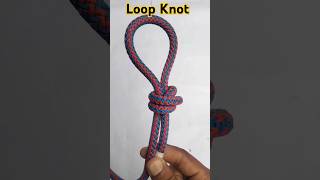 How to tie a loop knot knotskills shorts [upl. by Verla]