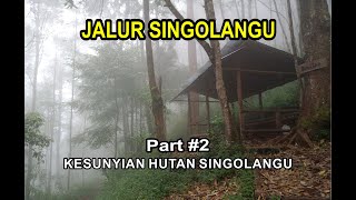 Kesunyian Jalur Pendakian Lawu Via Singolangu part2 [upl. by Bokaj]