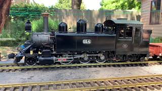 Gauge 1 Live Steam January 2019 [upl. by Harad]