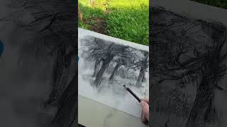 Bozzetto a carboncino enpleinair outdoordrawing sketching [upl. by Giarc]