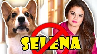 CORGI Disapproves of SELENA GOMEZ  Life After College Ep 575 [upl. by Sane343]