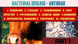 Anthrax  Bacterial disease  part 1  Dhull vets [upl. by Winchell]