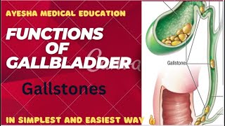 FUNCTIONS of Gallbladder Gallbladder anatomy extrahepatic biliary apparatusayeshamedicaleducation [upl. by Costanzia]