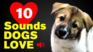 10 Sounds That Dogs LOVE The Most ❤️🐶 [upl. by Letha150]