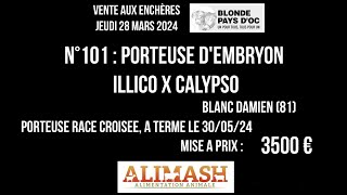 101 ILLICO X CALYPSO Vente Bexianis 2024 Blonde Pays dOc [upl. by Girardi]