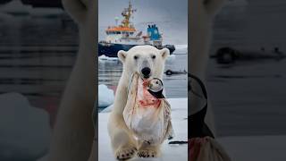 A touching film about a bear cub who asks for help from a sailor to save his friend from danger [upl. by Ramburt]