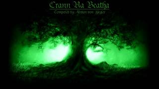 Celtic Music  Crann Na Beatha [upl. by Tolmach]