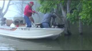 Catfish Getters  Foggy Lake Sets [upl. by Aggi84]