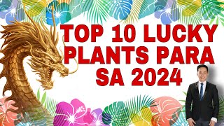 TOP 10 LUCKY PLANTS PARA SA 2024 YEAR OF THE WOOD DRAGON [upl. by Oakes]