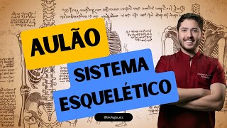 AULÃO DE ANATOMIA HUMANA DO SISTEMA ESQUELÉTICO biologiaetc [upl. by Luba]