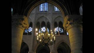 Midnight at NotreDame  Sinfonia from Cantata BWV 29 [upl. by Daegal]