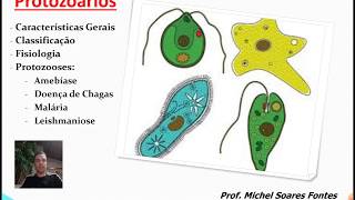 Protozoários e Protozooses 1 [upl. by Bina]