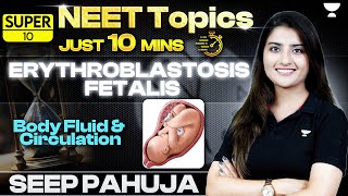 Erythroblastosis Fetalis  Body Fluids amp Circulation  NEET Biology  Seep Pahuja [upl. by Dnyletak]