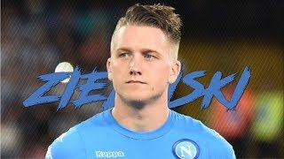 ピオトル・ジエリンスキ 20162017 スーパープレイ集 Piotr Zielinski Best Skills amp Goals [upl. by Sonafets]