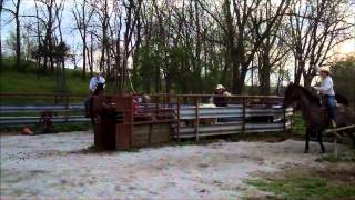 SOLD 2000 AQHA Reg Finished Heel Gelding  FOR SALE [upl. by Lipfert]