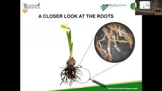 Jozsef Racsko The use of mycorrhizal fungi in horticulture [upl. by Eivla]