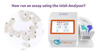 How to run an assay for Yeast cells  Inish Analyser  Cell Counting and Viability [upl. by Glasgo]