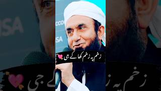 Zakham py zakham kha k by molana Tariq Jameel islamicpreacher bayan [upl. by Einnil]