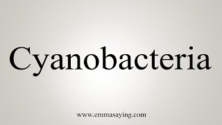 How To Say Cyanobacteria [upl. by Xuagram]