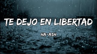 HAASH  Te Dejo En Libertad 💔 Letra [upl. by Notffilc]