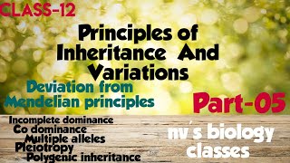 Principles of inheritance and variation part05 class 12 in malayalamnon mendelian inheritance [upl. by Aehta542]