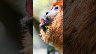 Howler Monkeys Natures Loudest Singers wildlife nature animals facts [upl. by Elleret]