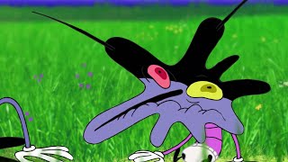 Oggy and the Cockroaches  Joeys jealous SEASON 4 BEST CARTOON COLLECTION  New Episodes in HD [upl. by Nylekoorb]