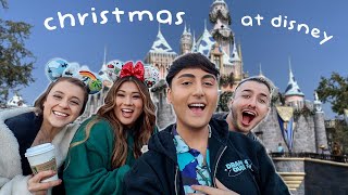 Is Disney Worth The Money During The Holidays  Vlogmas Day 13 [upl. by Ahsieuqal720]