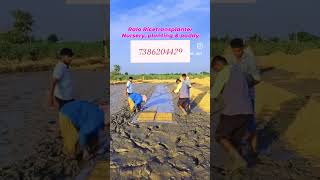 Raloagriculture ricefarming ralowalkbehandricetransplanter ricetransplanter kisan [upl. by Seraphina]