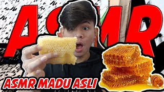 ASMR 500gr MADU ASLI  SAMPAI KENYANG BEGO WKWKWK [upl. by Ahsilat88]