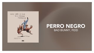 Bad Bunny Feid  PERRO NEGRO  LetraLyric [upl. by Nancie270]