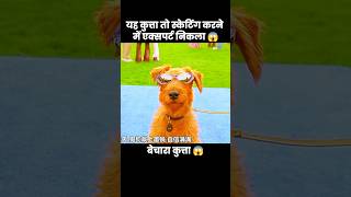 स्केटिंग का बादशाह 😎😱  short anime movie cartoon [upl. by Koslo563]