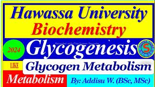 Glycogenesis Glycogen Synthesis  Glycogen Metabolism  carbohydrates metabolism biochemistry [upl. by Liss]