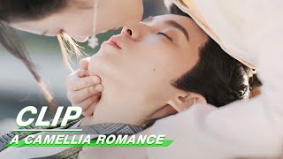 Clip Will You Give Me Everything I Want Honey  A Camellia Romance EP13  许纯纯的茶花运  iQiyi [upl. by Quillon]