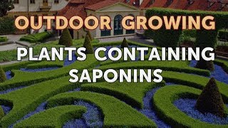 Plants Containing Saponins [upl. by Itirahc232]