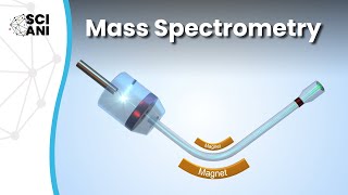 How does mass spectrometry work [upl. by Monti]