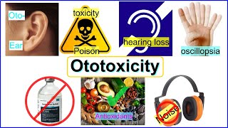 ototoxicity [upl. by Weksler931]