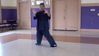 Traditional Yang Style 108 form Tai Chi Chuan 太极拳 [upl. by Terryl]