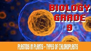 The Cell  Plastids  Introduction  Forms Of Plastids  Plastids In Plants amp Algae  Part 19 [upl. by Arza34]