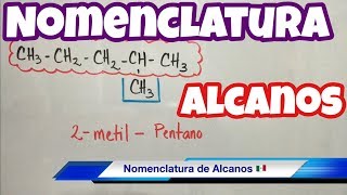 Nomenclatura de ALCANOS muchos ejemplos paso a paso [upl. by Asylla]