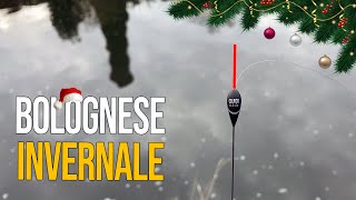 Pesca Bolognese  Alla ricerca dei Difficili Pesci Invernali  Buon Natale Ragazzi [upl. by Flint]