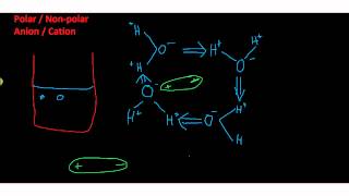 Hydrophilic hydrophobic [upl. by Anasxor]