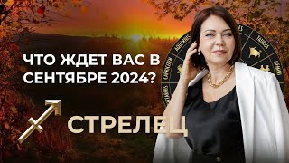 Сентябрь 2024 для Стрельцов Работа Финансы и Лунное Затмение [upl. by Ydospahr]