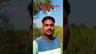 🥰🥰 tum chupa na sako gi main wo raaj hoon trending shortvideos viralvideos short viralshorts [upl. by Grega]