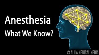 Neuroscience Basics Anesthesia How it Works Animation [upl. by Hecker]