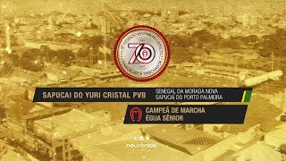 Sapucai do Yuri Cristal PVB Campeã de Marcha Égua Sênior Nacional 2019 [upl. by Ettesyl]